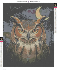 Thumbnail for Owl in Dark timanttimaalauksen liimapintainen canvas 40x50cm