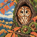 Thumbnail for Owl in the Chestnut Hollow, 20x20 cm timanttimaalaus – lopullisen kuvion esikatselu