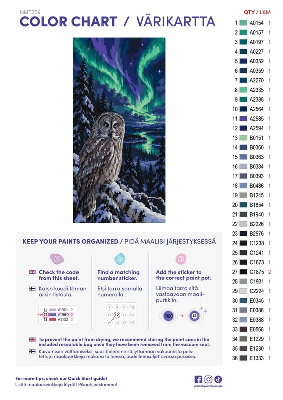 Numeromaalaus: Värikartta ja ohjeet - Owl under the Aurora 40x80cm