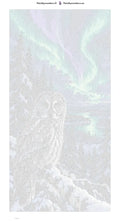 Thumbnail for Numeromaalaus: Numeroitu kangas - Owl under the Aurora 40x80cm