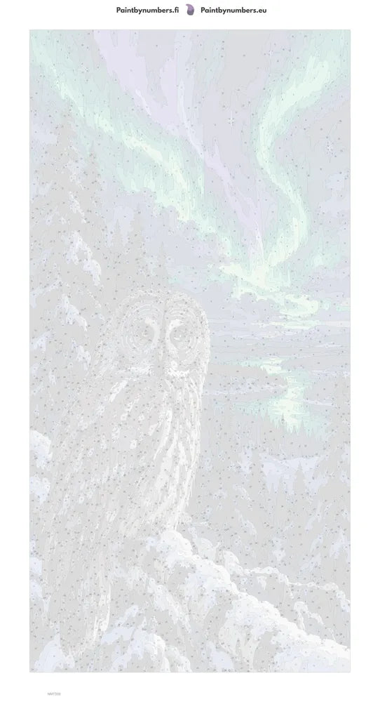 Numeromaalaus: Numeroitu kangas - Owl under the Aurora 40x80cm