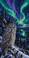 Thumbnail for Pöllö lumisessa metsässä revontulien alla numeromaalaus