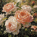 Thumbnail for Timanttikuvio - Peach and White Roses