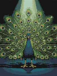 Thumbnail for Timanttikuvio - Peacock Display