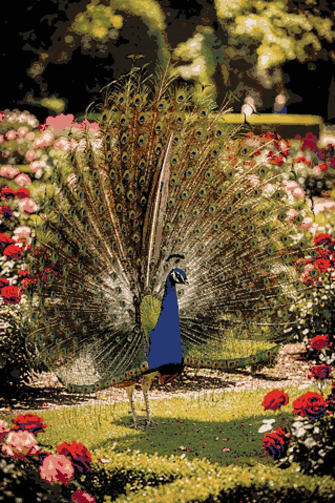 Timanttikuvio - Majestic Garden Peacock