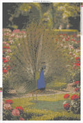 Thumbnail for Peacock in Rose Garden timanttimaalauksen liimapintainen canvas 80x120cm
