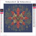 Thumbnail for Poinsettia Mandala timanttimaalauksen liimapintainen canvas 20x20cm