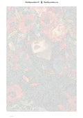 Thumbnail for Numeromaalaus: Numeroitu kangas - Poppy Crown 40x60cm