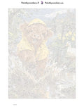 Thumbnail for Numeromaalaus: Numeroitu kangas - Puddle Jumper 30x40cm