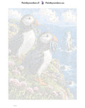 Thumbnail for Numeromaalaus: Numeroitu kangas - Puffins on the Cliff 30x40cm