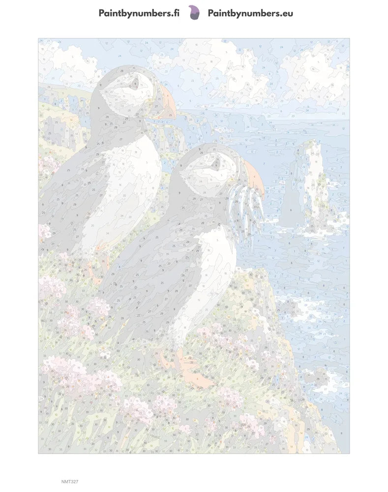 Numeromaalaus: Numeroitu kangas - Puffins on the Cliff 30x40cm
