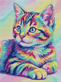 Thumbnail for Timanttikuvio - Rainbow Kitten