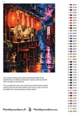 Thumbnail for Numeromaalaus: Värikartta ja ohjeet - Ramen Stand in the Rain 30x40cm