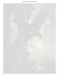Thumbnail for Numeroitu kangas - Raven and Old Tower 60x80cm