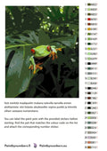 Thumbnail for Värikartta ja ohjeet - Red-Eyed Treefrog 40x50cm