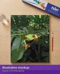 Thumbnail for Valmiin numeromaalauksen havainnekuva - Red-Eyed Treefrog 40x50cm