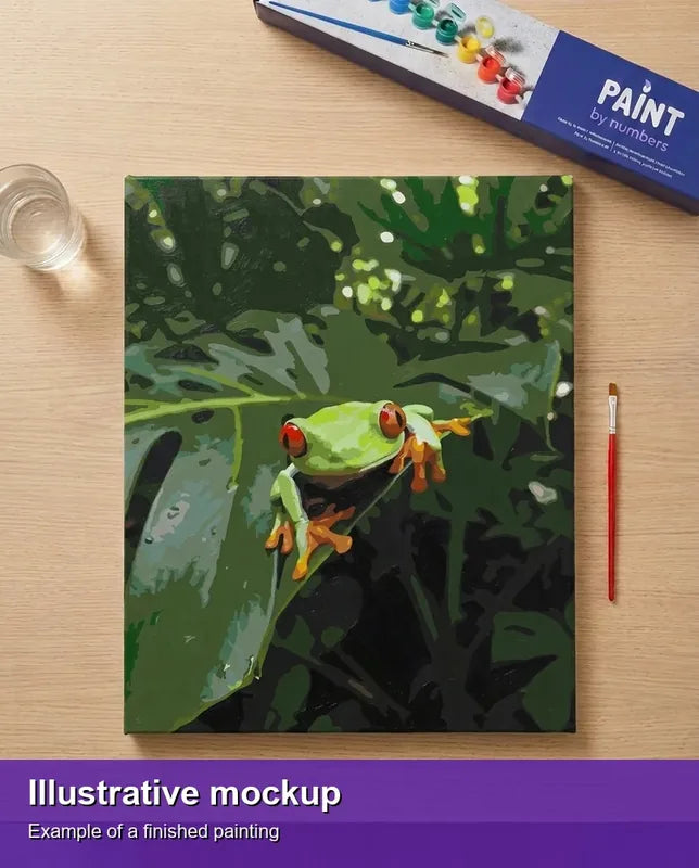 Valmiin numeromaalauksen havainnekuva - Red-Eyed Treefrog 40x50cm