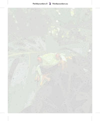 Thumbnail for Numeroitu kangas - Red-Eyed Treefrog 40x50cm