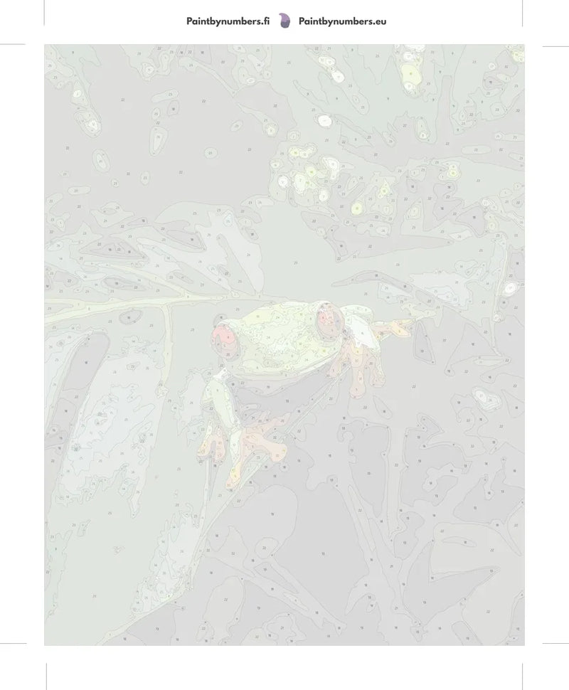 Numeroitu kangas - Red-Eyed Treefrog 40x50cm