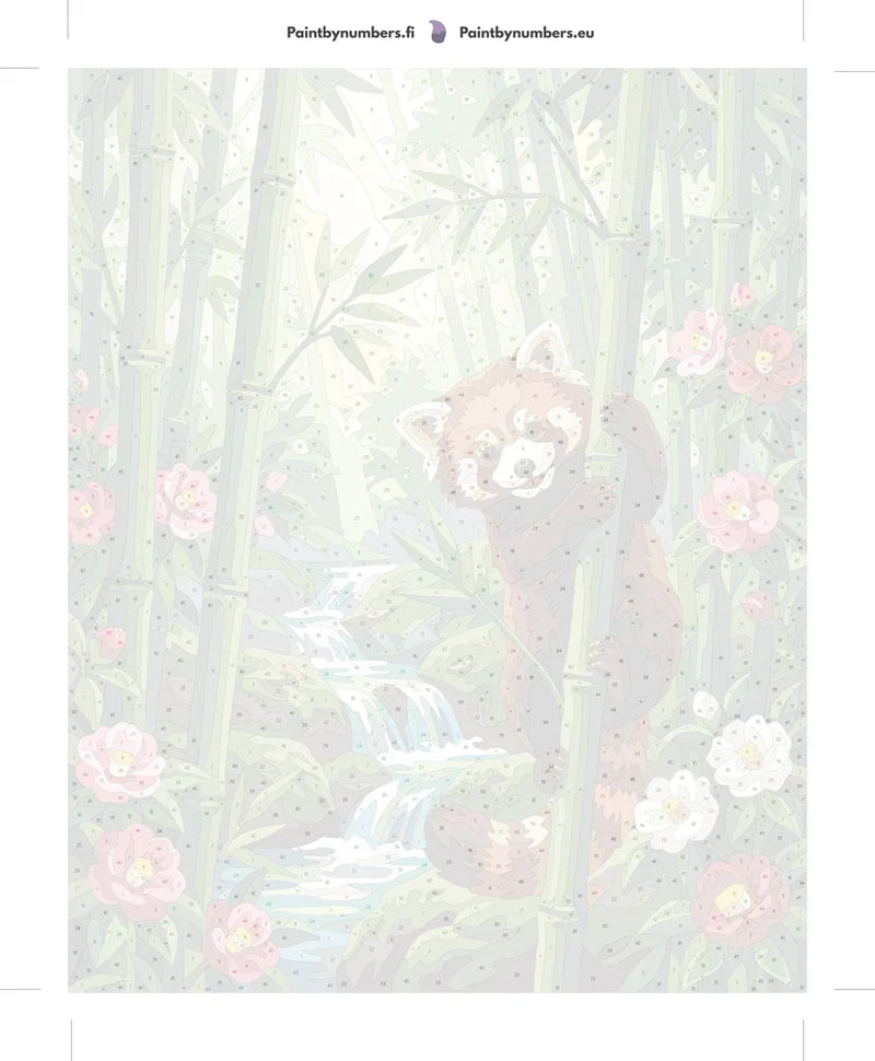 Numeroitu kangas - Red Panda in Bamboo 40x50cm