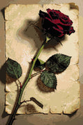 Thumbnail for Timanttikuvio - Red Rose on Paper