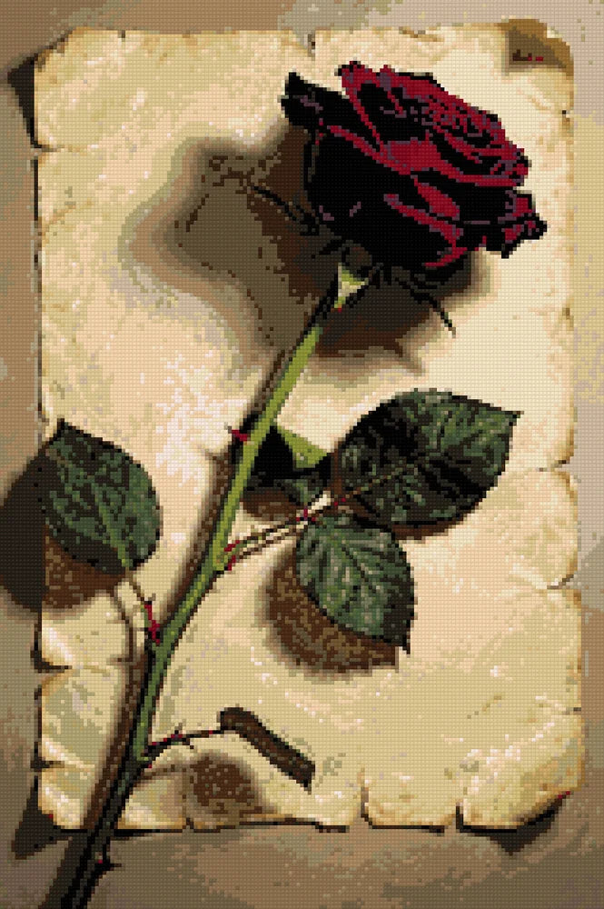 Timanttikuvio - Red Rose on Paper