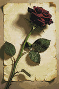 Thumbnail for Timanttikuvio - Red Rose on Paper