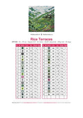Thumbnail for Rice Terraces timanttimaalauksen värikartta – 35 DMC-väriä