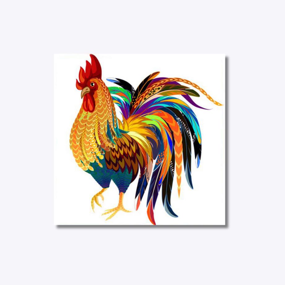 Rainbow Rooster 20x20cm - Timanttimaalaus