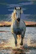 Thumbnail for Timanttikuvio - Running White Horse