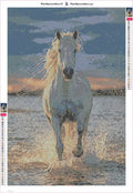 Thumbnail for Running White Horse timanttimaalauksen liimapintainen canvas 40x60cm