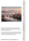 Thumbnail for Värikartta ja ohjeet - Sheep Crossing Stream 80x60cm