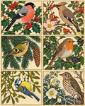 Thumbnail for Six December Garden Birds, 40x50 cm timanttimaalaus – alkuperäinen kuva, josta kuvio on tehty