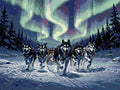 Thumbnail for Timanttikuvio - Sled Dogs at Night