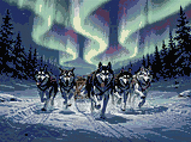 Timanttikuvio - Sled Dogs at Night