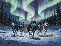 Thumbnail for Timanttikuvio - Sled Dogs at Night
