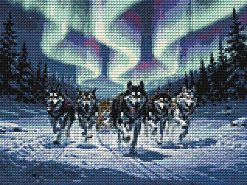 Timanttikuvio - Sled Dogs at Night