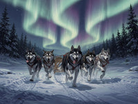 Thumbnail for Timanttimaalaus Sled Dogs at Night