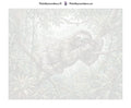 Thumbnail for Numeroitu kangas - Sloth on Tree Branch 50x40cm