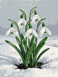 Thumbnail for Timanttikuvio - Snowdrop Blossoms