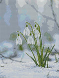 Thumbnail for Timanttikuvio - Snowdrops