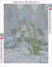 Thumbnail for Snowdrops timanttimaalauksen liimapintainen canvas 30x40cm