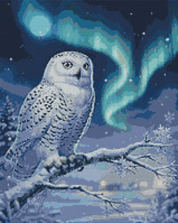 Thumbnail for Timanttikuvio - Moonlit Snowy Owl