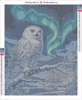 Thumbnail for Snowy Owl timanttimaalauksen liimapintainen canvas 40x50cm