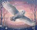 Thumbnail for Timanttikuvio - Snowy Owl in Flight