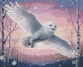 Thumbnail for Timanttikuvio - Snowy Owl in Flight