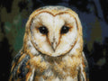 Thumbnail for Timanttikuvio - Speckled Feathers
