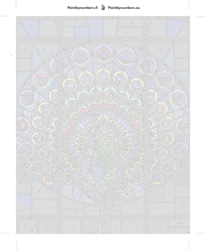 Numeroitu kangas - Stained Glass Peacock 40x50cm