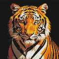 Thumbnail for Timanttikuvio - Staring Tiger