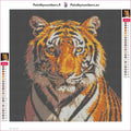 Thumbnail for Staring Tiger timanttimaalauksen liimapintainen canvas 30x30cm